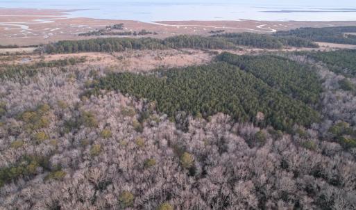 Photo #15 of Parcel Y WEBB ISLAND DR, MACHIPONGO, VA 187.4 acres