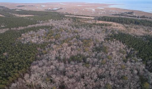 Photo #16 of Parcel Y WEBB ISLAND DR, MACHIPONGO, VA 187.4 acres