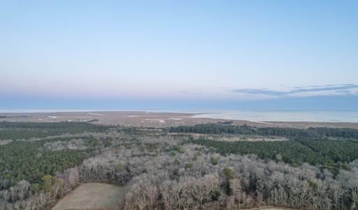 Photo #2 of Parcel Y WEBB ISLAND DR, MACHIPONGO, VA 187.4 acres
