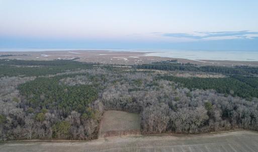Photo #4 of Parcel Y WEBB ISLAND DR, MACHIPONGO, VA 187.4 acres