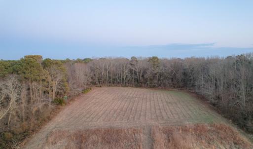 Photo #5 of Parcel Y WEBB ISLAND DR, MACHIPONGO, VA 187.4 acres