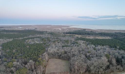 Photo #6 of Parcel Y WEBB ISLAND DR, MACHIPONGO, VA 187.4 acres