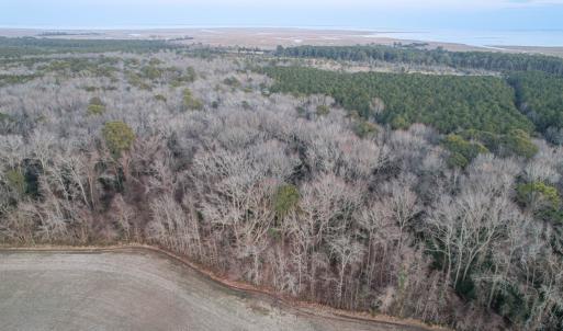 Photo #7 of Parcel Y WEBB ISLAND DR, MACHIPONGO, VA 187.4 acres