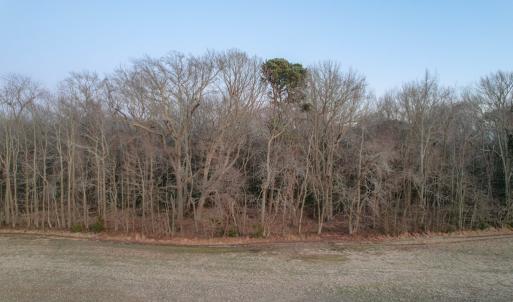 Photo #8 of Parcel Y WEBB ISLAND DR, MACHIPONGO, VA 187.4 acres