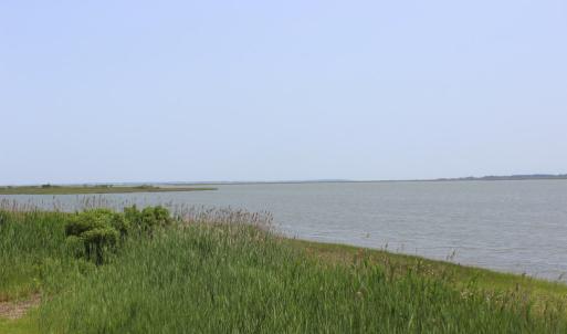 Photo #15 of Lot 9 EAGLET LANE, ATLANTIC, VA 35.0 acres