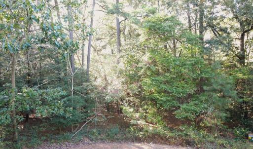 Photo #2 of Lot 9 EAGLET LANE, ATLANTIC, VA 35.0 acres