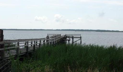 Photo #5 of Lot 16 OYSTER COVE LANE, ATLANTIC, VA 0.8 acres