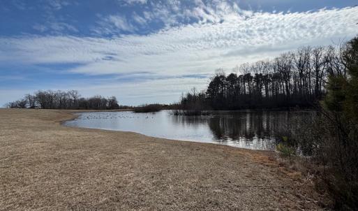 Photo #10 of Lot 112 COVENTON LANE, HORNTOWN, VA 3.2 acres
