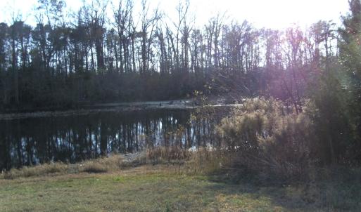 Photo #14 of Lot 112 COVENTON LANE, HORNTOWN, VA 3.2 acres
