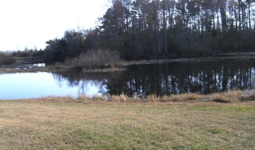 Photo #15 of Lot 112 COVENTON LANE, HORNTOWN, VA 3.2 acres