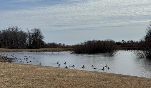 Photo #7 of Lot 112 COVENTON LANE, HORNTOWN, VA 3.2 acres