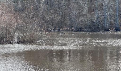 Photo #8 of Lot 112 COVENTON LANE, HORNTOWN, VA 3.2 acres