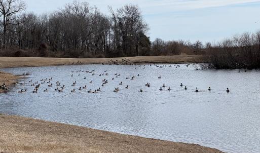Photo #9 of Lot 112 COVENTON LANE, HORNTOWN, VA 3.2 acres