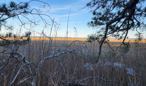 Photo #4 of Lot 55 NEPTUNE DR, GREENBACKVILLE, VA 0.5 acres