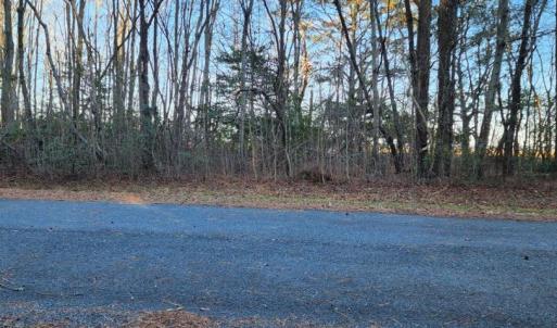 Photo #2 of Lot 55 NEPTUNE DR, GREENBACKVILLE, VA 0.5 acres