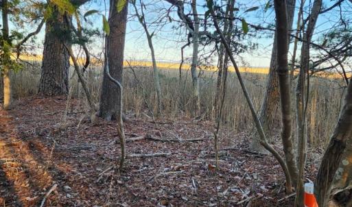 Photo #3 of Lot 55 NEPTUNE DR, GREENBACKVILLE, VA 0.5 acres