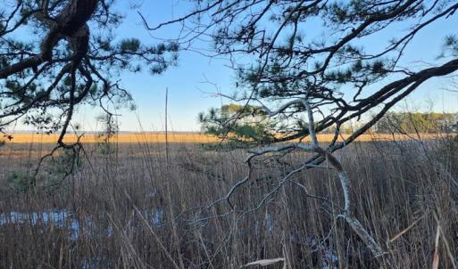 Photo #5 of Lot 55 NEPTUNE DR, GREENBACKVILLE, VA 0.5 acres