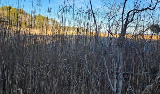 Photo #6 of Lot 55 NEPTUNE DR, GREENBACKVILLE, VA 0.5 acres