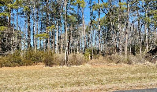 Photo #3 of Lot 3 EAGLE DRIVE, NEW CHURCH, VA 10.9 acres