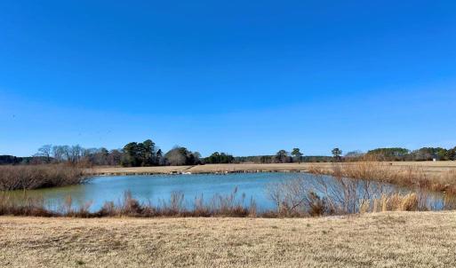 Photo #30 of Lot 3 EAGLE DRIVE, NEW CHURCH, VA 10.9 acres