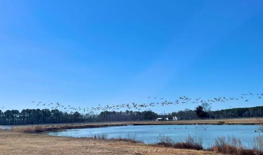 Photo #31 of Lot 3 EAGLE DRIVE, NEW CHURCH, VA 10.9 acres