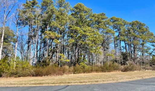 Photo #38 of Lot 3 EAGLE DRIVE, NEW CHURCH, VA 10.9 acres