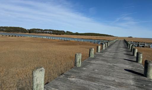 Photo #6 of Lot 35 SEAVIEW ST, ACCOMAC, VA 3.3 acres