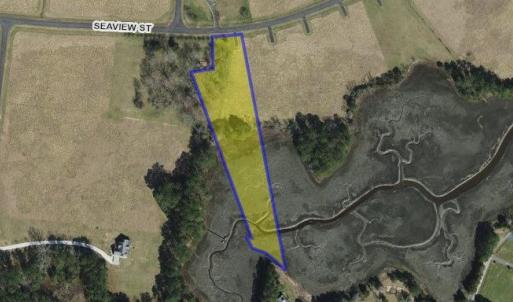 Photo #5 of Lot 35 SEAVIEW ST, ACCOMAC, VA 3.3 acres