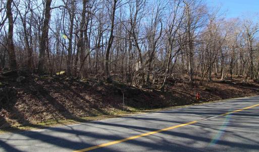 Photo #2 of 150 SHAMOKIN SPRINGS TRL, WINTERGREEN RESORT, VA 0.4 acres