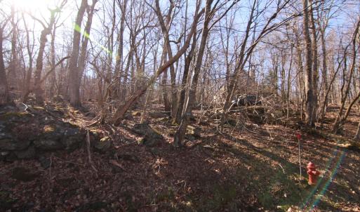 Photo #4 of 150 SHAMOKIN SPRINGS TRL, WINTERGREEN RESORT, VA 0.4 acres