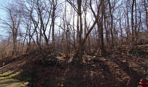 Photo #6 of 150 SHAMOKIN SPRINGS TRL, WINTERGREEN RESORT, VA 0.4 acres