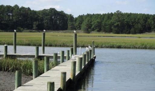 Photo #2 of SUNSET LANDING DR., PARKSLEY, VA 2.5 acres