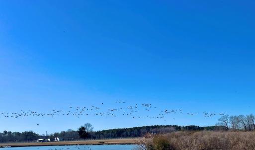 Photo #22 of Lot 26 EAGLE DRIVE, NEW CHURCH, VA 3.3 acres