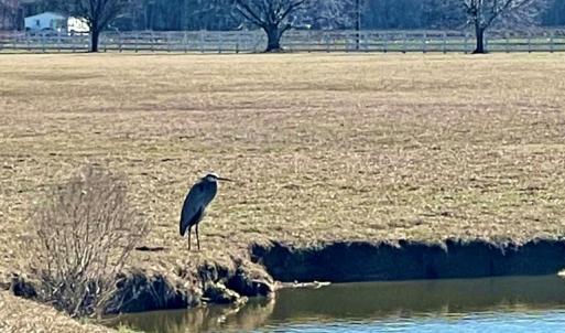 Photo #6 of Lot 26 EAGLE DRIVE, NEW CHURCH, VA 3.3 acres