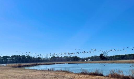 Photo #31 of Lot 26 EAGLE DRIVE, NEW CHURCH, VA 3.3 acres
