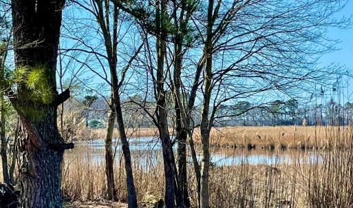 Photo #32 of Lot 26 EAGLE DRIVE, NEW CHURCH, VA 3.3 acres