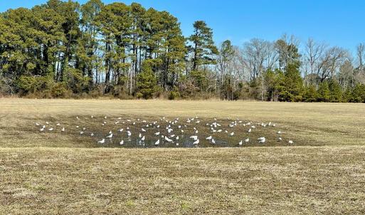 Photo #36 of Lot 26 EAGLE DRIVE, NEW CHURCH, VA 3.3 acres