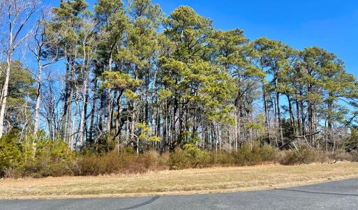 Photo #38 of Lot 26 EAGLE DRIVE, NEW CHURCH, VA 3.3 acres