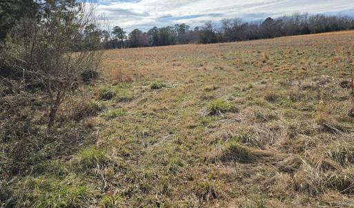 Photo #2 of MINK FARM RD, ONANCOCK, VA 12.0 acres