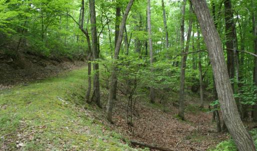 Photo #8 of 20 HIGH VALLEY SOUTH, MONTEREY, VA 5.0 acres