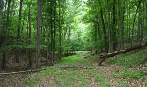 Photo #1 of 20 HIGH VALLEY SOUTH, MONTEREY, VA 5.0 acres