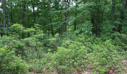 Photo #3 of 20 HIGH VALLEY SOUTH, MONTEREY, VA 5.0 acres