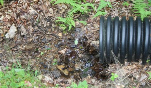 Photo #2 of 20 HIGH VALLEY SOUTH, MONTEREY, VA 5.0 acres