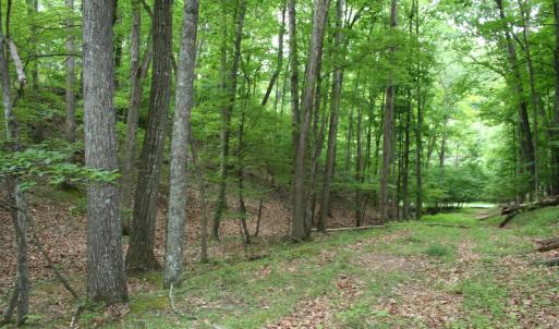 Photo #9 of 20 HIGH VALLEY SOUTH, MONTEREY, VA 5.0 acres