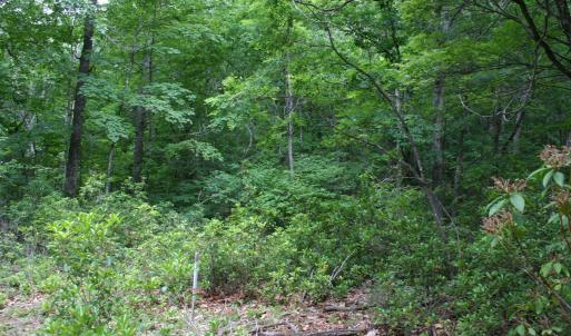 Photo #7 of 20 HIGH VALLEY SOUTH, MONTEREY, VA 5.0 acres