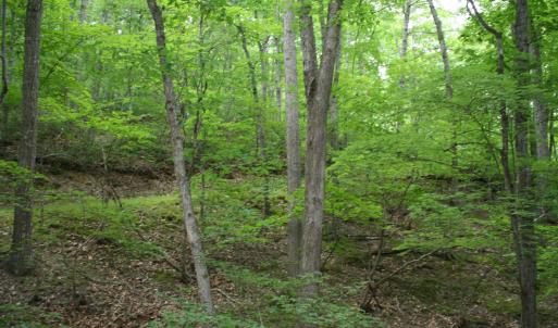 Photo #5 of 20 HIGH VALLEY SOUTH, MONTEREY, VA 5.0 acres