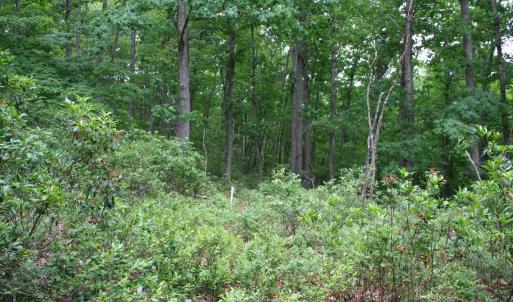 Photo #4 of 20 HIGH VALLEY SOUTH, MONTEREY, VA 5.0 acres