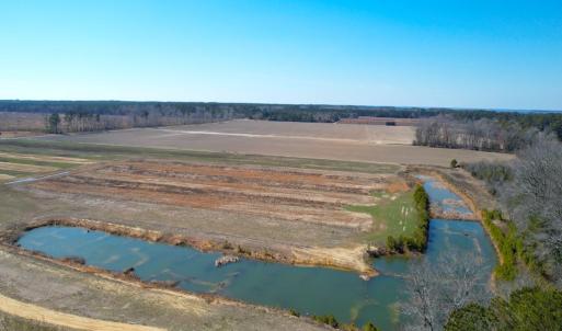 2+ Acre Waterfowl Pond