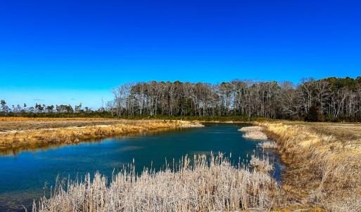 Waterfowl Pond