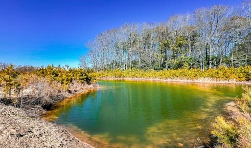 Waterfowl Pond